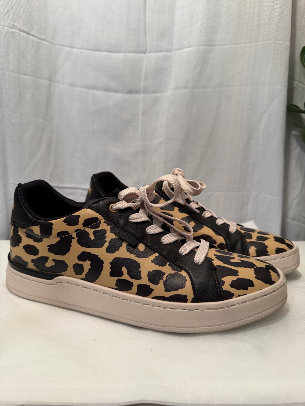Coach Leopard-Print Low-Top Sneakers in Beige and Black